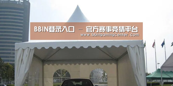 案例标题八