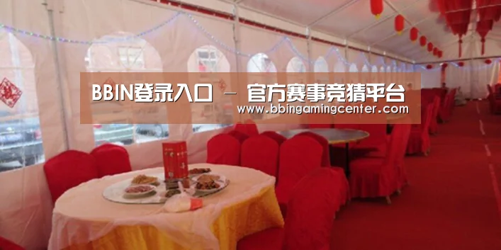 案例标题二