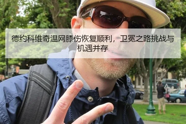 de-yue-ke-wei-qi-wen-wang-xi-shang-hui-fu-shun-li-wei-mian-zhi-lu-tiao-zhan-yu-ji-yu-bing-cun-2-377.jpg