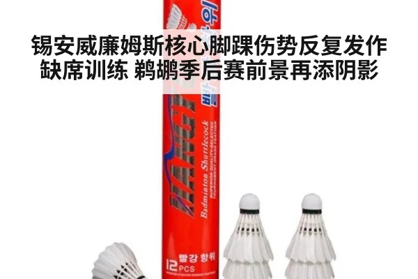 锡安威廉姆斯核心脚踝伤势反复发作缺席训练 鹈鹕季后赛前景再添阴影
