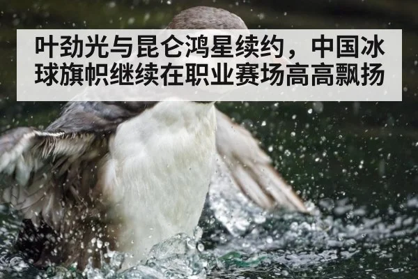 叶劲光与昆仑鸿星续约，中国冰球旗帜继续在职业赛场高高飘扬